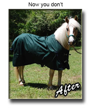 Clean Horse Blanket