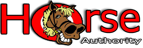 Horse Authority Blanket Wash and Repair
